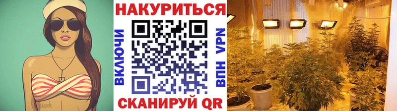 Бошки марихуана ГИДРОПОН  Старая Русса 